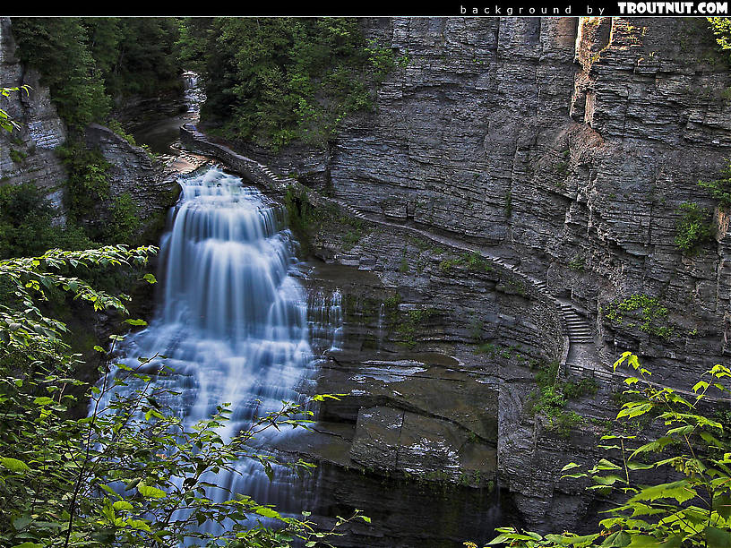 scenic desktop background for download #50