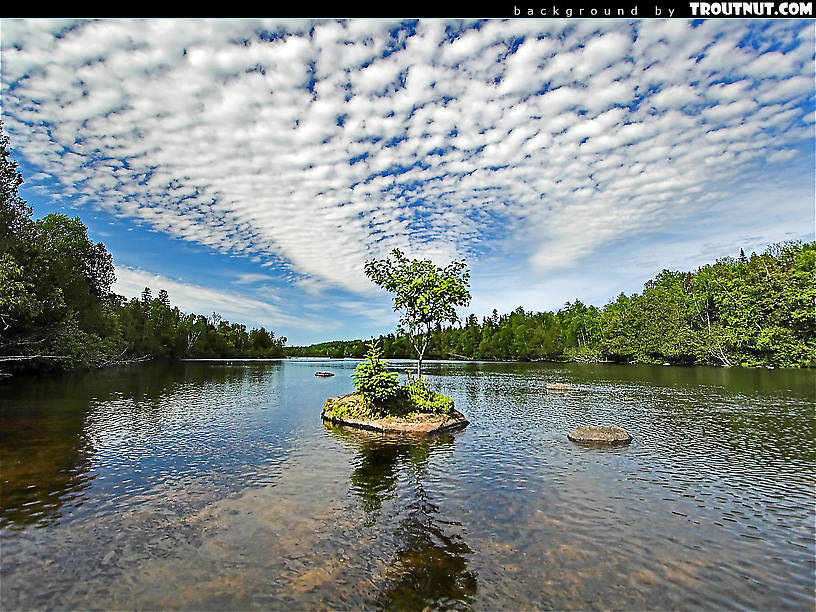scenic desktop background for download #5