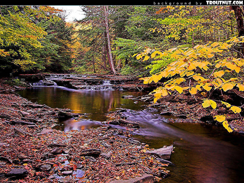 scenic desktop background for download #74