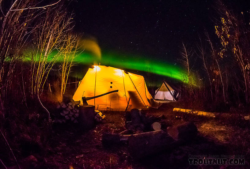 Aurora over the Arctic Oven tent at USFWS sheefish camp. Not pictured: the wolf howling in the background as I took this picture. From the Selawik River in Alaska.