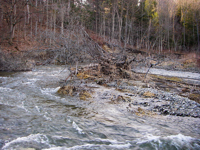 Everything just kind of blends together in this turbulent picture, taken during an early-season skunking on an unfamiliar stretch of river. From Fall Creek in New York.